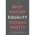 A Brief History of Equality - Thomas Piketty, Steven Rendall, Gebunden