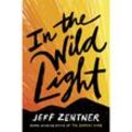 In the Wild Light - Jeff Zentner, Gebunden