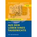 Hamburger Lesehefte PLUS / Aus dem Leben eines Taugenichts von Joseph von Eichendorff (Textausgabe) - Josef Freiherr von Eichendorff, Kartoniert (TB)