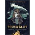 Die Reise zum Frostpalast / Feuerblut Bd.2 - Aisling Fowler, Gebunden