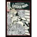 Artisan Edition / John Romita's The Amazing Spider-Man Artisan Edition, Kartoniert (TB)
