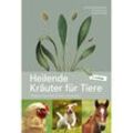 Heilende Kräuter für Tiere - Cäcilia Brendieck-Worm, Elisabeth Stöger, Franziska Klarer, Kartoniert (TB)