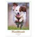 Hundefreunde (Wandkalender 2024 DIN A4 hoch), CALVENDO Monatskalender