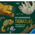 Der Ravensburger Tieratlas - eine tierisch spannende Reise rund um die Welt - Anne Rooney, Gebunden