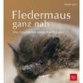 Fledermaus ganz nah - Ingrid Kaipf, Gebunden