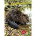 Discover the Beavers - Uli Messlinger, Gebunden