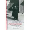 Saitensprünge - Hellmut Stern, Taschenbuch