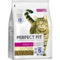 PERFECT FIT Katze Beutel Adult 1+ mit Lachs 2,8kg