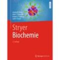 Stryer Biochemie - Jeremy M. Berg, John L. Tymoczko, Gregory J. Gatto, Lubert Stryer, Gebunden