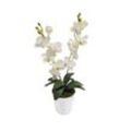 Kunstorchidee Orchidee Phalaenopsis Seidenblume Kunstblume Blume Pflanze künstlich Orchidee