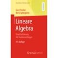 Lineare Algebra - Gerd Fischer, Boris Springborn, Kartoniert (TB)