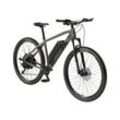 Prophete E-Bike Mountainbike DICE 2.0, 29 Zoll