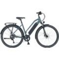 Prophete E-Bike Prophete E-Bike Entdecker 1.8, 8 Gang Shimano Altus Schaltwerk, Kettenschaltung, Heckmotor, 417,6 Wh Akku, grau