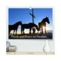 CALVENDO Wandkalender Pferde und Ponys im Paradies (Premium