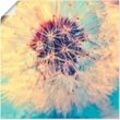 Artland Wandbild Pusteblume ganz nah, Blumen (1 St), als Alubild, Outdoorbild, Leinwandbild, Poster in verschied. Größen, blau