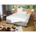 BeCo Vierjahreszeiten-Bettdecke »Proneem«, mit Milbenschutz, 100 % Baumwolle