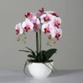Kunstblume Orchidee (H 48 cm)