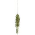 Kunstpflanze Senecio in Grün ca. 88cm