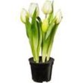 Kunstpflanze Tulpe I in Weiß