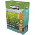 Primaster Blumenwiese 1 kg für ca. 65 m2