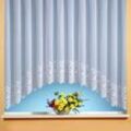 Weckbrodt-gardinen - Blumenfensterstore Miriam mit c Bogen + Blumenbordüre, weiß Ausführung Einzel Fertigstore Farbe weiß Größe 160X300 - weiß