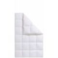 Daunenbettdecke FRAU HOLLE "Zara, Bettdecken für Sommer oder Winter, hergestellt in Deutschland" Gr. B/L: 135 cm x 200 cm, warm, weiß Allergiker Bettdecke
