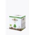 Miscela D'Oro Green Bio 10 Kapseln Nespresso® kompatibel