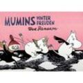 Mumins Winterfreuden - Tove Jansson, Gebunden