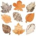 Baumrinden-Blätter (30 Stück ) Bastelbedarf Natumaterialien