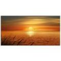 Glasbild ARTLAND "Sonnenuntergang über dem Meer" Bilder Gr. B/H: 100 cm x 50 cm, Glasbild Sonnenaufgang & -untergang Querformat, 1 St., orange Glasbilder