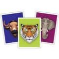 Close Up - Asiatische Tiere Kunstdruck 3er-Set, Madeleine Asiatischer Elefant, Tiger und Wasserbüffel, Papier 250 gr. matt
