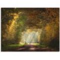 Wandbild ARTLAND "Licht am Ende des Tunnels..." Bilder Gr. B/H: 80 cm x 60 cm, Leinwandbild Wald, 1 St., grün Kunstdrucke