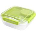 Rotho Salatbox Memory 1,7 l, 19,5 x 19,5 x 9,1 cm, grün