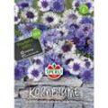 Kornblumen Classic Fantastic - Blumensamen - Sperli