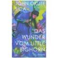 Das Wunder vom Little Bighorn - John Okute Sica, Gebunden