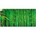 Wandfolie ARTLAND "Bambus II" Bilder Gr. B/H: 150 cm x 75 cm, Gräser, 1 St., grün ARTland