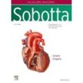 Sobotta, Atlas der Anatomie des Menschen Band 2 - Atlas der Anatomie des Menschen Band 2 Sobotta, Gebunden