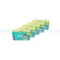 Babywindeln Pampers Baby Dry Größe 4 Maxi 9-12 kg 530 Stück 3-Monats-Vorrats-Pack, für bis zu 100 % Auslaufschutz