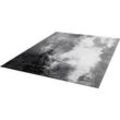 Teppich WASH+DRY BY KLEEN-TEX "Aura" Teppiche Gr. B/L: 170 cm x 240 cm, 9 mm, 1 St., grau Esszimmerteppiche