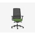 Ergonomischer Bürodrehstuhl DELTA - Grün - 120 kg Traglast - 5 Jahre Garantie