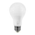 Stone LED-Glühlampe 12W Sockel: E27 3/4/6K 11025/BNC ECO