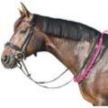 Beginner Balance Zügel, pink - 120 cm - hilft dem Pferd, das Gleichgewicht zu verbessern - Equest