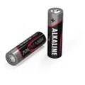 LR06 Red-Line Mignon (AA)-Batterie Alkali-Mangan 1.5 v 1 St. - Ansmann