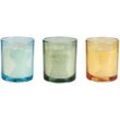 Duftkerze 3er Set Mehrfarbig Sojawachs mit Baumwolldocht im Glas Duftnoten: Ozeanfrische Weißer Tee Sommerwiese Geschenkset - Grün