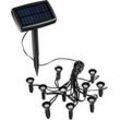 Solarlampe schwarz Außenleuchte modern Pflanzenstrahler 10-flammig, LED Gartenlampe Steckleuchte wetterfest, 10x LED warmweiß, LxBxH 12x8x18 cm