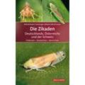 Die Zikaden Deutschlands, Österreichs und der Schweiz - Roland Mühlethaler, Werner Holzinger, Herbert Nickel, Ekkehard Wachmann, Gebunden