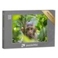 puzzleYOU Puzzle Niedlicher Affe lebt im Wald in Thailand
