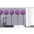 Küchenrückwand - Allium Kugel-Blüten i Größe HxB: 70x100cm Material: Premium