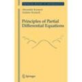 Principles of Partial Differential Equations - Alexander Komech, Andrew Komech, Kartoniert (TB)