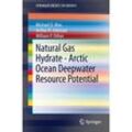 Natural Gas Hydrate - Arctic Ocean Deepwater Resource Potential - Michael D. Max, Arthur H. Johnson, William P. Dillon, Kartoniert (TB)